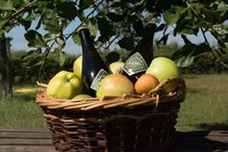 Iessel Cider, Diepenveen