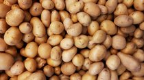 Aardappelen