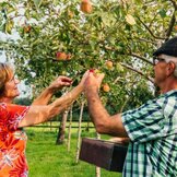 Erve de Poll, Lettele