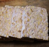 Tempeh