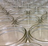 Glas