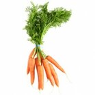 Bospeen, per bos, Tuinderij Korenblik