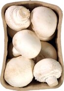 Champignons, witte-, 250gr, PuurNL