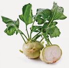 Koolrabi, per stuk, PuurNL