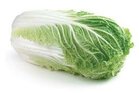 Chinese kool, per stuk, Tuinderij Haverkamp