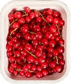 Bessen, rode-, 125gr, Hekkert Hoogstamfruit
