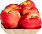 Appels, Jonagold, 600gr, PuurNL