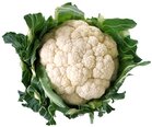 Bloemkool, witte-, per stuk, Tuinderij 't Vreebroek