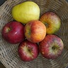 Appels, hand-, mix, per kg, Hekkert Hoogstamfruit