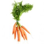 Bospeen, per bos, Tuinderij Korenblik