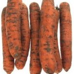 Winterpeen, ongewassen, per kg, Klein Broekhuizen