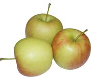 Appels, nieuwe delcorf-delbare, 1kg, Udea