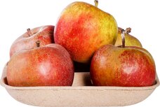 Appels, goudreinette, rode boskoop, per kg, PuurNL