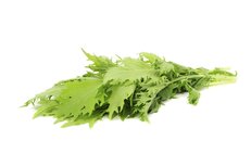 Raapsteeltjes, bosje, Korenblik