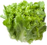 Andijvie, per stuk, Tuinderij de Overkant