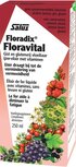 Floradix, Floravital, niet bio, 250ml, Salus