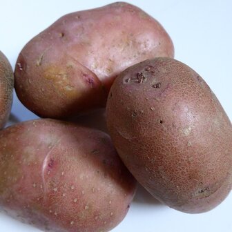 Aardappelen, kruimig, Alouette, 1kg, Haverkamp