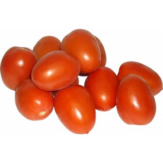 Tomaten, roma-, 500gr, Udea