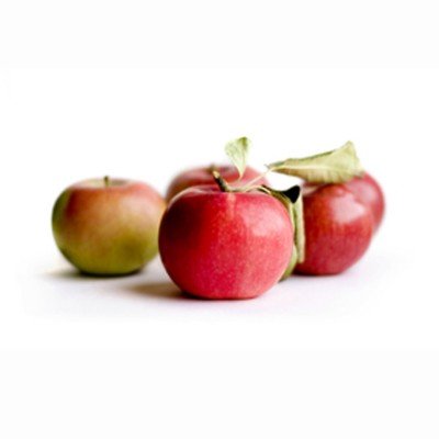 Appels, Elstar-, per kg, Tkalecz