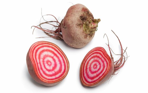 Bieten, chioggia, per kg, Tuinderij De Overkant