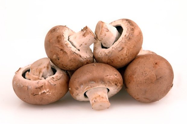 Champignons, kastanje-, 250gr, Odin