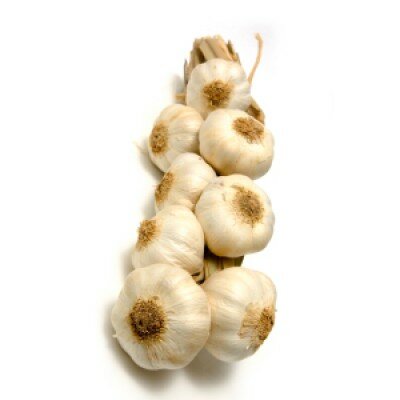 Knoflook, streng, per stuk, Overkant