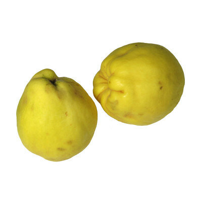 Kweepeer, per kg, Hekkert Hoogstamfruit