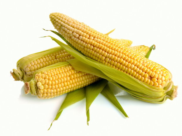 Suikermais, per kolf, Tuinderij De Overkant