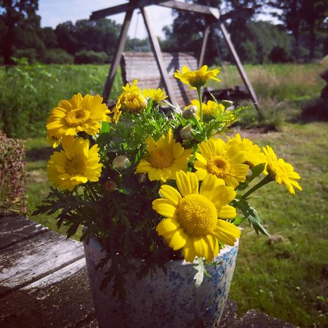 Bloemboeket, klein, Tuinderij de Overkant
