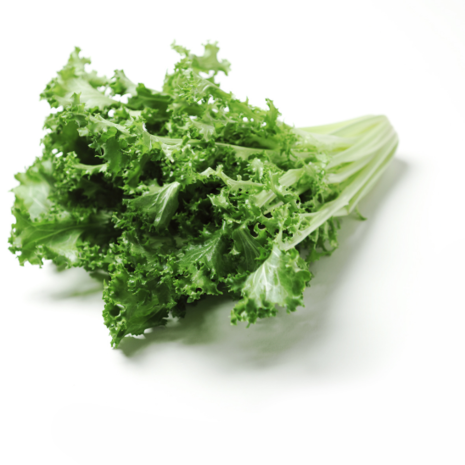 Sla, salanova, groen, per stuk, Tuinderij De Overkant