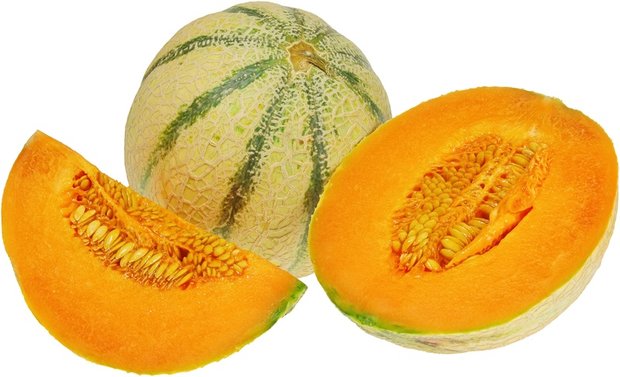 Meloen, charantais-cantaloup, per stuk, Udea