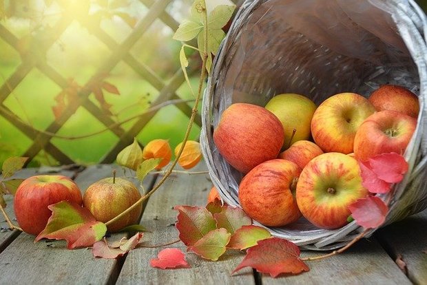 Appels, hand-, mix, per kg, Hekkert Hoogstamfruit