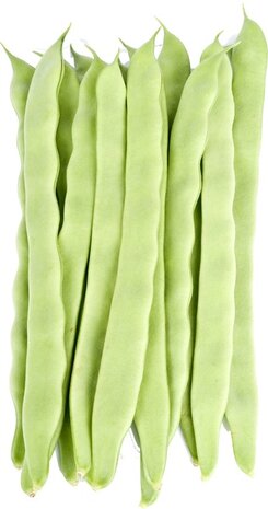 Snijbonen, portie 250gr, Udea