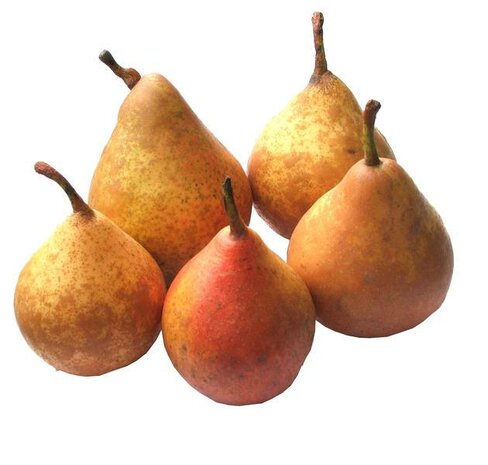 Stoofperen, Gieser Wildeman-, 600gr, Udea