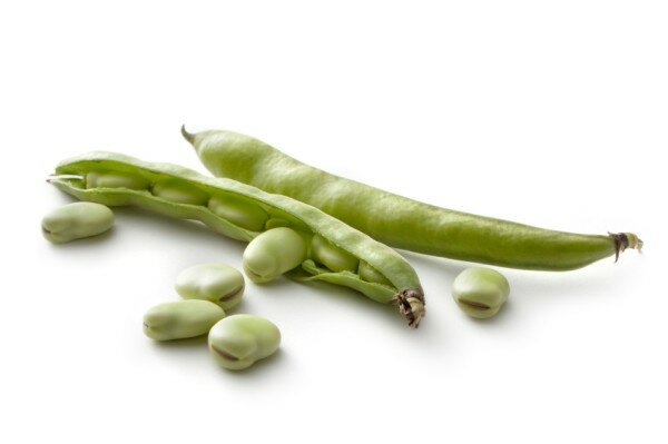 Tuinbonen, 500gr, Overkant