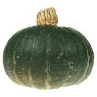 Pompoen, groene-, per stuk, PuurNL