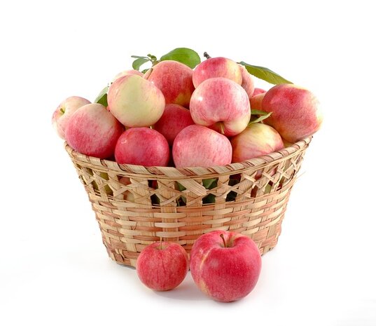 Kinderappels, per kg, Hekkert Hoogstamfruit
