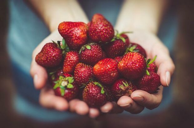 Aardbeien, 200gr, PuurNL