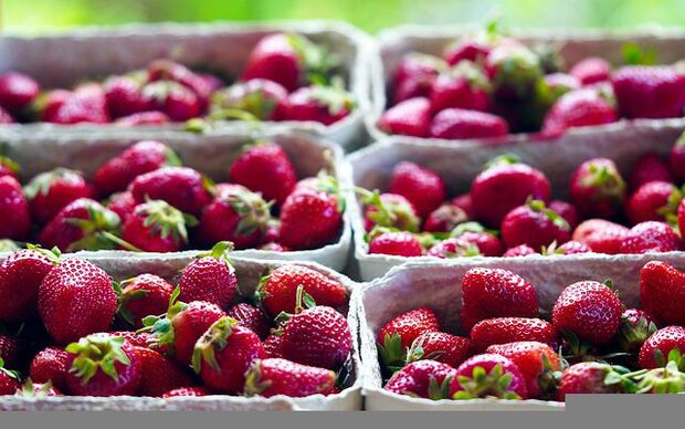 Aardbeien, 200gr, PuurNL