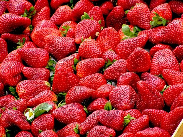 Aardbeien, 200gr, PuurNL