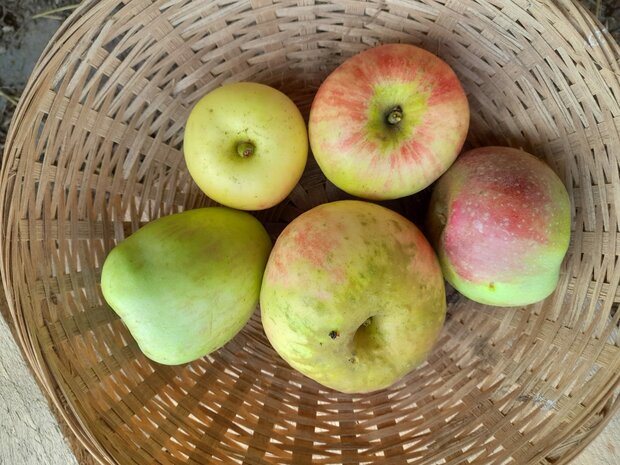 Appels, hand-, mix, per kg, Hekkert Hoogstamfruit