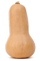 Pompoen, Butternut-fles-, per stuk, Udea