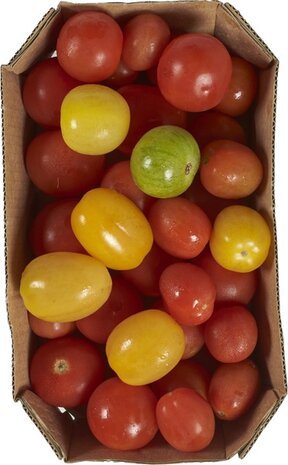 Tomaatjes, snack-, regenboog, 400gr, PuurNL