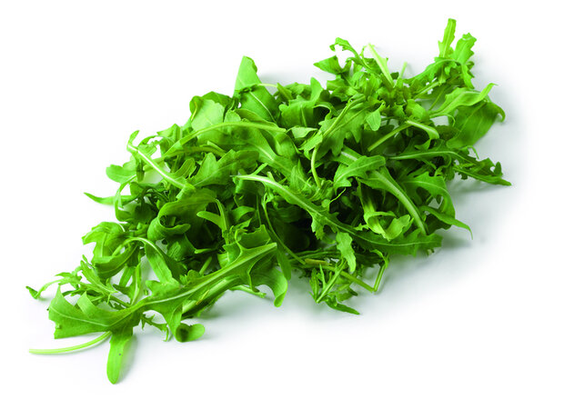 Rucola, per bos, Tuinderij Korenblik