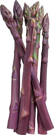 Violet asperges, 250gr, Udea