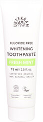 Whitening tandpasta fresh mint, 75ml, Urtekram