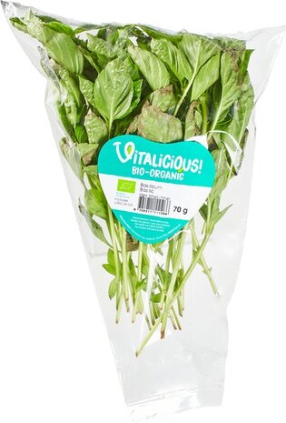 Basilicum, verse-, per bos, Tuinderij Korenblik