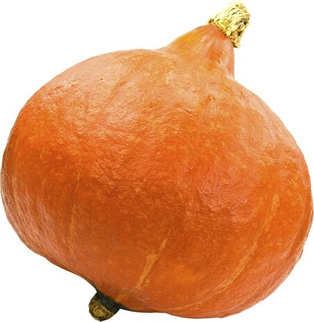Pompoen, oranje-, per stuk, Udea