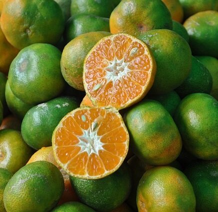 Mandarijnen, satsuma, groene-, 500gr, Udea
