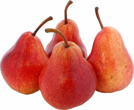 Peren, Red Bartlett, 600gr, Udea